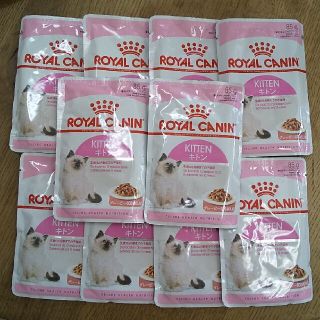 ロイヤルカナン(ROYAL CANIN)のロイヤルカナン キトン グレービー10個(ペットフード)