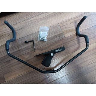 ミノウラ(MINOURA) 自転車 ディスプレイスタンド バイクハンガー 壁掛け(その他)