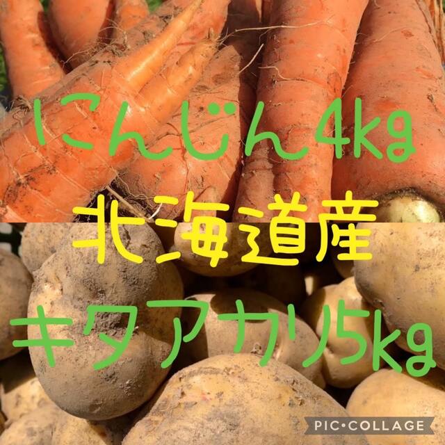 北海道産キタアカリ5kgにんじん4kg 食品/飲料/酒の食品(野菜)の商品写真