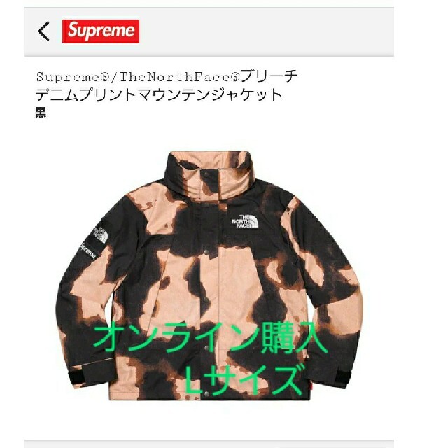 SupremeThe North FaceMountain Jacket