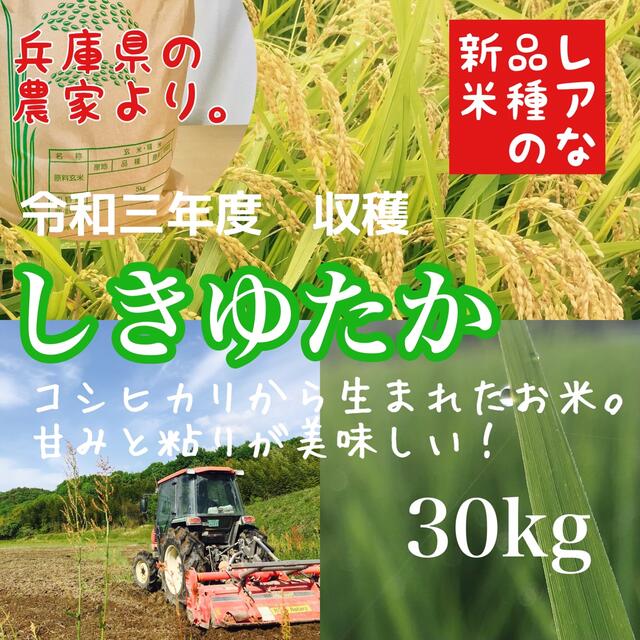 【農家直送のレアな品種 シキユタカ】兵庫県産 湧き水育ち農家のお米 30kg