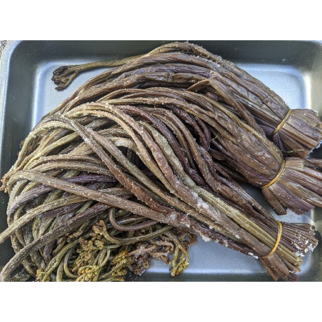 天然ワラビ塩漬け 食品/飲料/酒の加工食品(その他)の商品写真