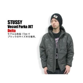 ステューシー(STUSSY)のSTUSSY(ステューシー) Vessel Parka JKT Delta(ダウンジャケット)