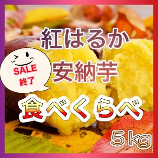 さつまいも食べくらべ5kg『紅はるか×安納芋』(野菜)