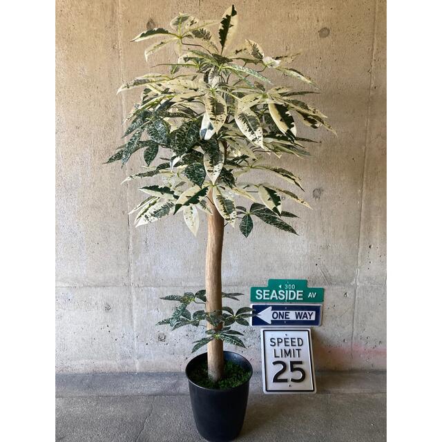 光触媒 人工観葉植物 ウォールグリーン フェイク アレンジ 光触媒 人工観葉植物 ウォールグリーン フェイク アレンジ