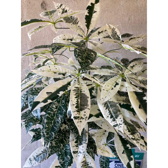 光触媒 人工観葉植物 ウォールグリーン フェイク アレンジ 光触媒 人工観葉植物 ウォールグリーン フェイク アレンジ