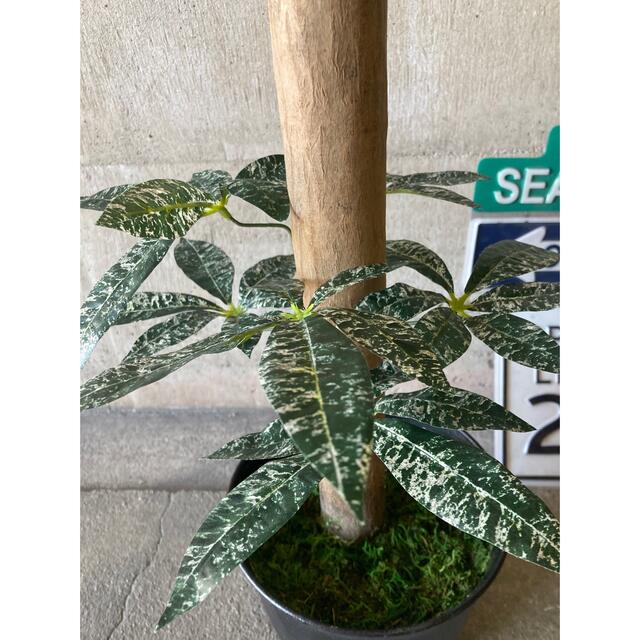 光触媒 人工観葉植物 ウォールグリーン フェイク アレンジ 光触媒 人工観葉植物 ウォールグリーン フェイク アレンジ