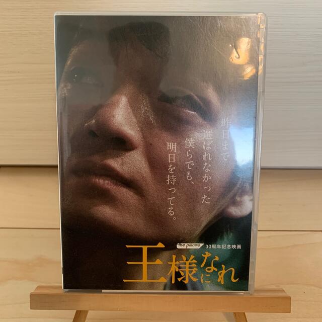 ザ・ピロウズ30周年記念映画『王様になれ』（初回限定版） DVD エンタメ/ホビーのDVD/ブルーレイ(日本映画)の商品写真