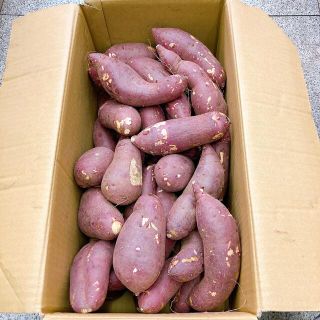 高糖度サツマイモ 大分県産 甘太くん　5キロ(野菜)