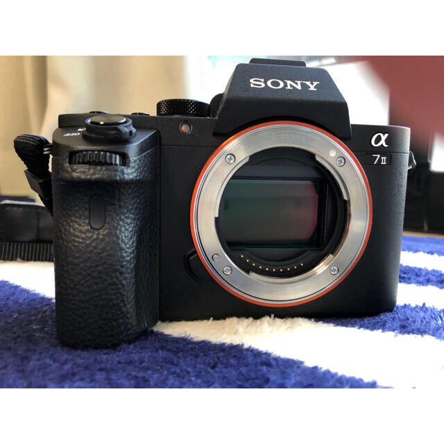 SONY ILCE-7M2 a7ii 美品