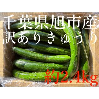 【tea様　専用】新鮮！訳ありきゅうり　千葉県旭市産(野菜)