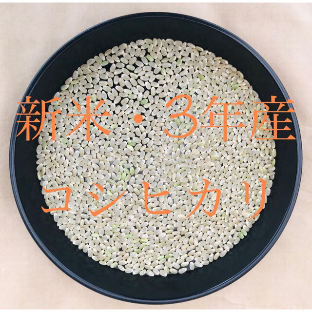 新米・令和3年産『特別栽培米・丹後産コシヒカリ』送料無料、精米サービスします。
