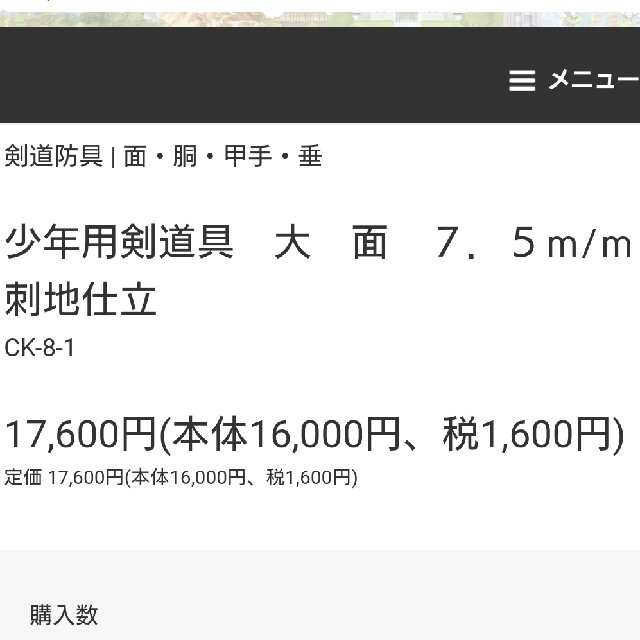 剣道面、垂れセット 最終値下 スポーツ/アウトドアのスポーツ/アウトドア その他(相撲/武道)の商品写真