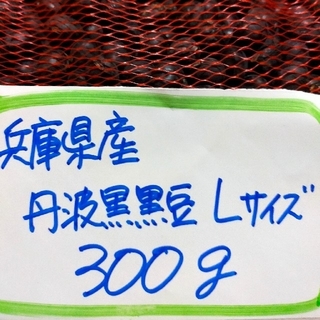 兵庫県産　丹波黒黒豆Lサイズ　300g(野菜)