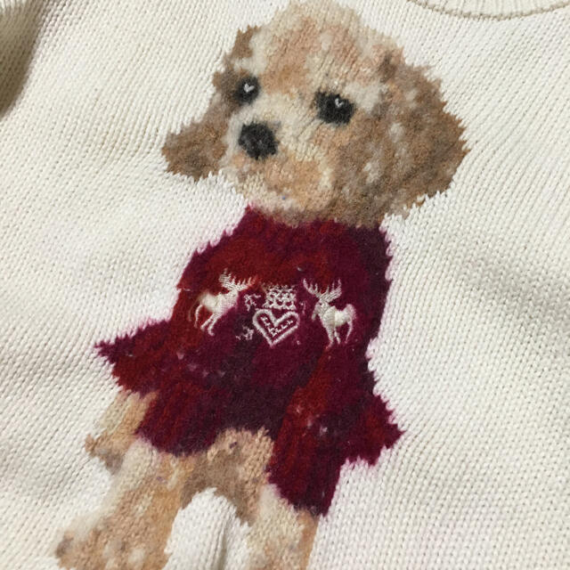 POLO RALPH LAUREN - ラルフローレン 犬 セーター ニット ペプラムの