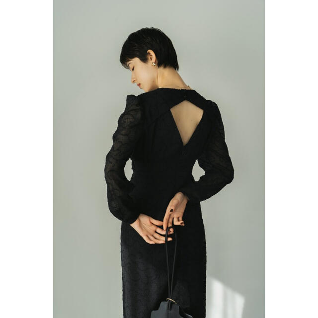 レディースback open sheer dress