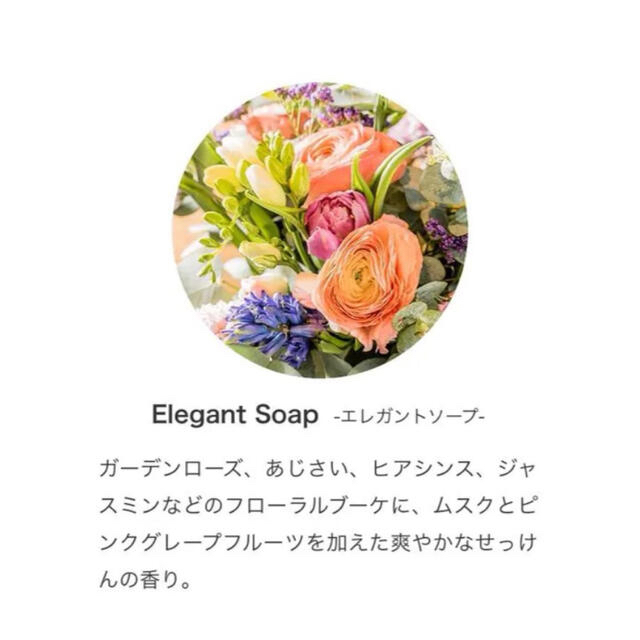 ✳︎✳︎elegant soap エレガントソープ 13ml prolitec コスメ/美容のリラクゼーション(アロマオイル)の商品写真