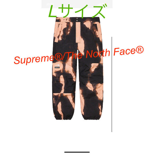 Supreme®/The North Face® Mountain Pant