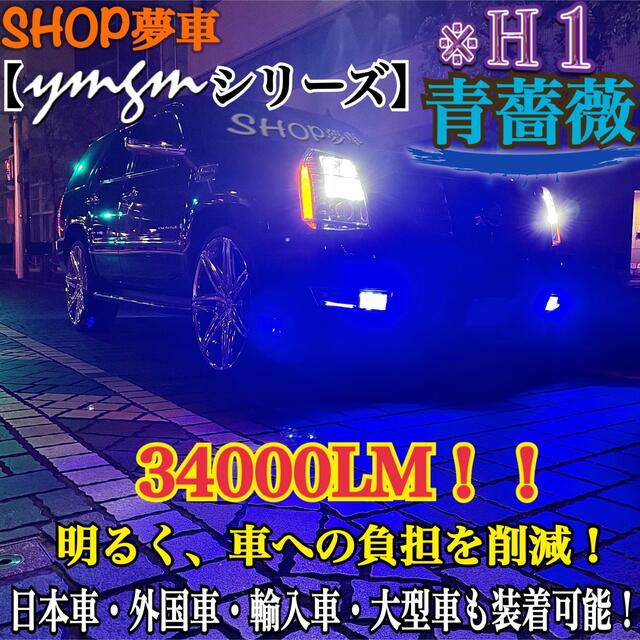 新発売❗️34000LM‼️フォグランプ　LED 青薔薇✨外車可　ブルー　H1