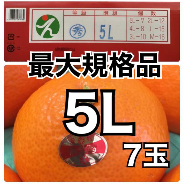 愛媛県産 紅まどんな 5L【最大規格】7玉 青秀品