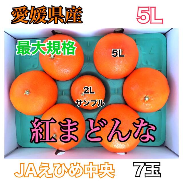 愛媛県産 紅まどんな 5L【最大規格】7玉 青秀品