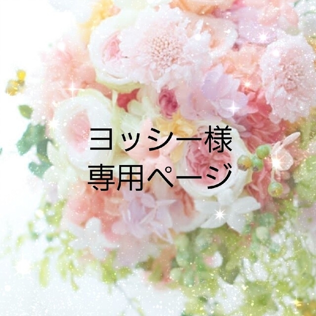 ヨッシー様専用ページの通販 by ちょこ's shop|ラクマ