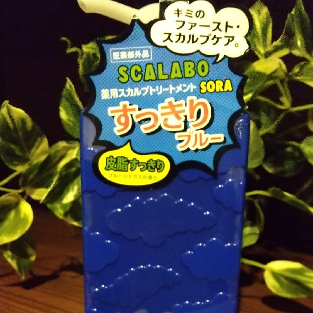 スカラボ 薬用スカルプトリートメント SORA 皮脂すっきり 300ml | フリマアプリ ラクマ