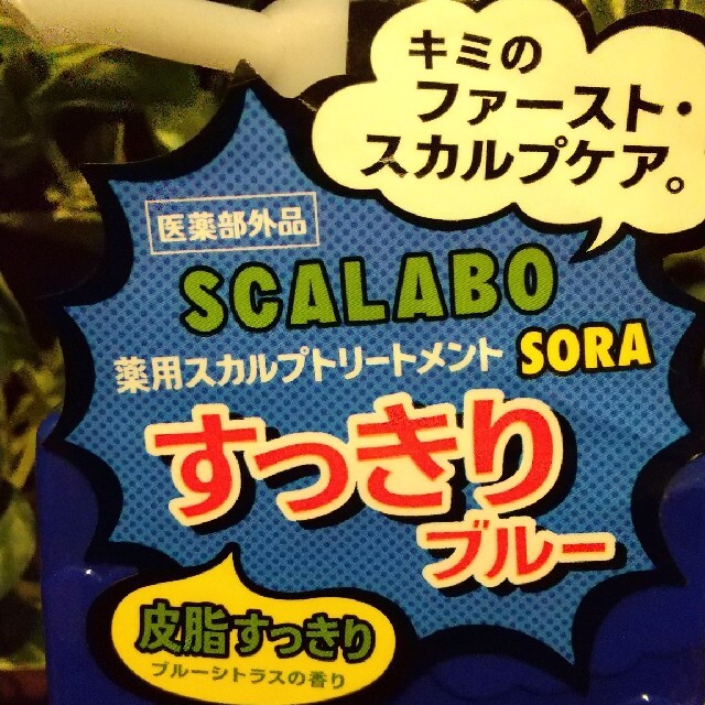 スカラボ 薬用スカルプトリートメント SORA 皮脂すっきり 300ml コスメ/美容のヘアケア/スタイリング(スカルプケア)の商品写真
