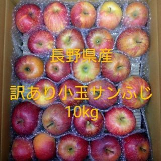 22長野県産りんご 訳あり 小玉サンふじ10kg(フルーツ)