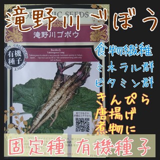 滝野川牛蒡 固定種 在来種 有機種子 野菜の種 家庭菜園 種子 種(野菜)