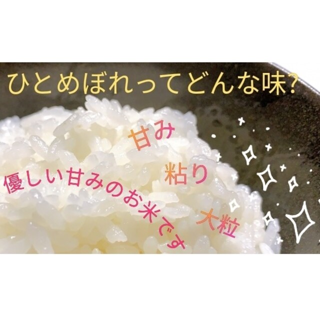 お客様専用 お米【ひとめぼれ 30kg】R3年新米/5kg×6 imex.com.bo