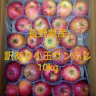 23長野県産りんご 訳あり 小玉サンふじ10kg(フルーツ)
