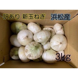 #1 訳あり 新玉ねぎ ホワイトオニオン 静岡県浜松産 3kg(野菜)