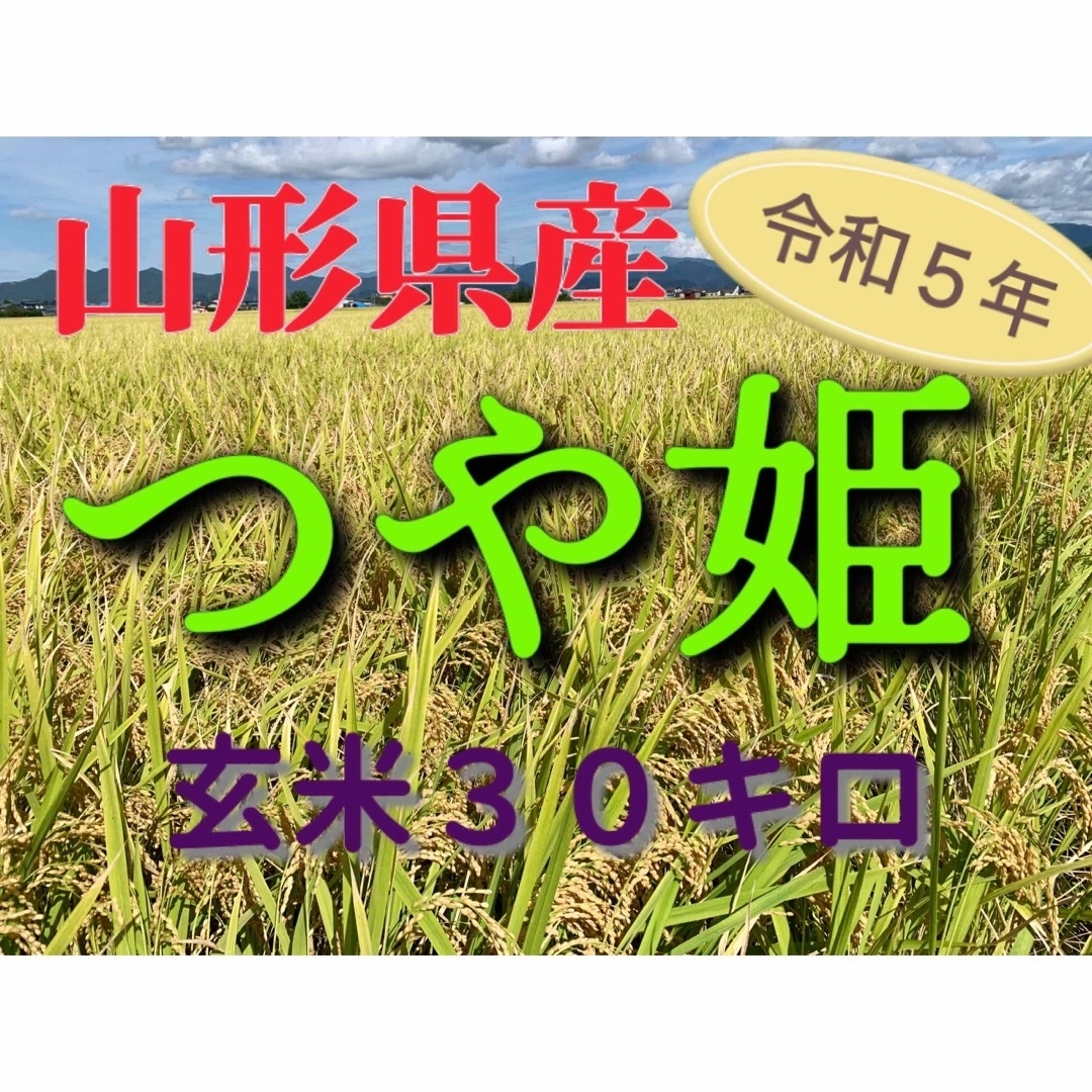 玄米30キロ　特別栽培米つや姫　農家直送！山形県高畠　令和5年産　米/穀物