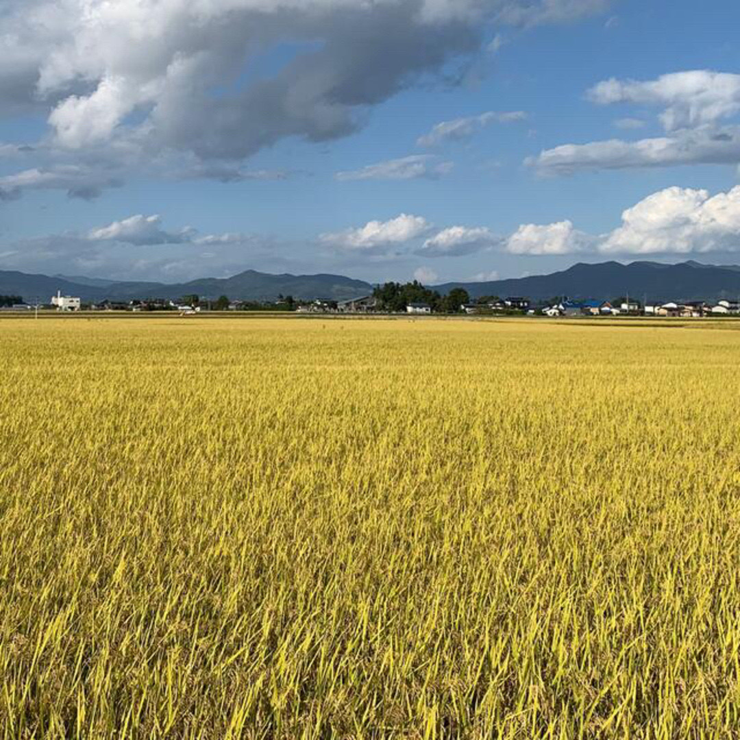 農家直送！山形県高畠　令和5年産　特別栽培米つや姫　玄米30キロ 2
