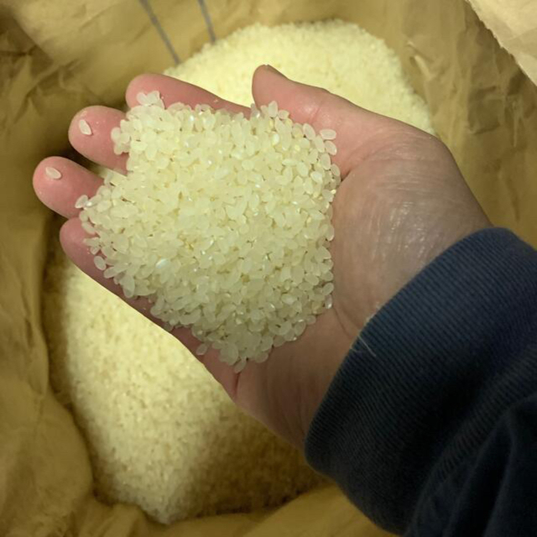 農家直送！山形県高畠　令和5年産　特別栽培米つや姫　玄米30キロ 3