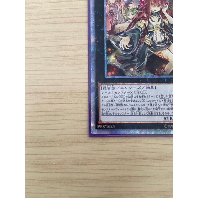 遊戯王 アロメルスの蟲惑魔  20th シークレットレア  美品　② 3