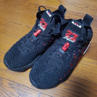 ナイキ(NIKE)のことこと様　NIKE　レブロン　17　23cm(バスケットボール)