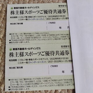 東急不動産　スポーツ優待券2枚(スキー場)