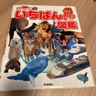 いちばん！の図鑑(絵本/児童書)