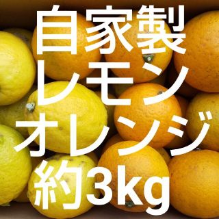 訳あり 加工用 オレンジ レモン 約3kg 詰め合わせ 農薬不使用 自家製(フルーツ)