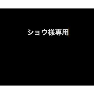 カーオーディオ用ボディアース強化ユニット　VE-01(カーオーディオ)