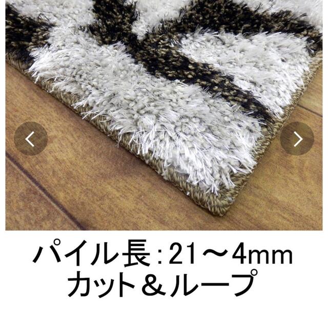 ラグ 2