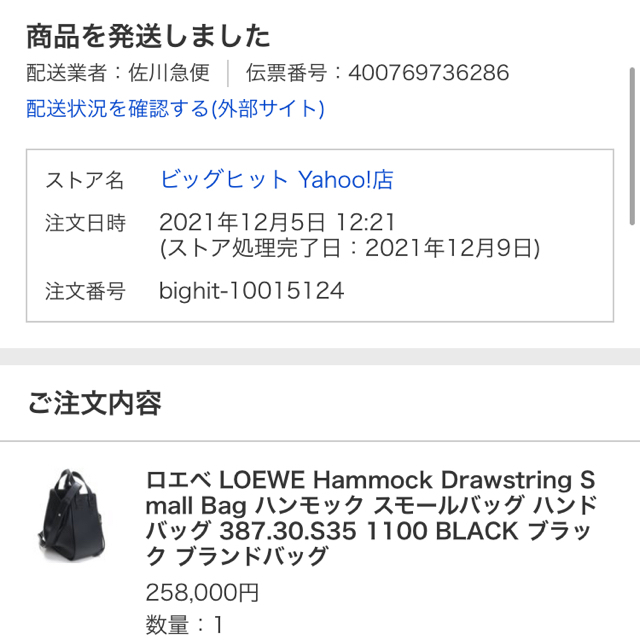 LOEWE(ロエベ)のロエベ LOEWE☆ハンモック スモールバッグ ハンドバッグ レディースのバッグ(ハンドバッグ)の商品写真