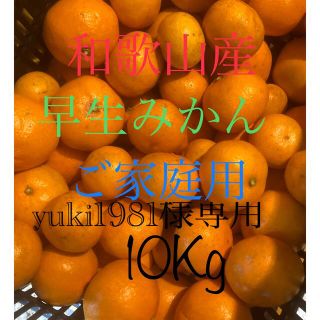 和歌山産早生みかんご家庭用 10Kg(フルーツ)