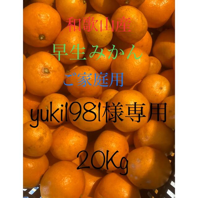 熊本県産 極早生みかん 家庭用 20キロ