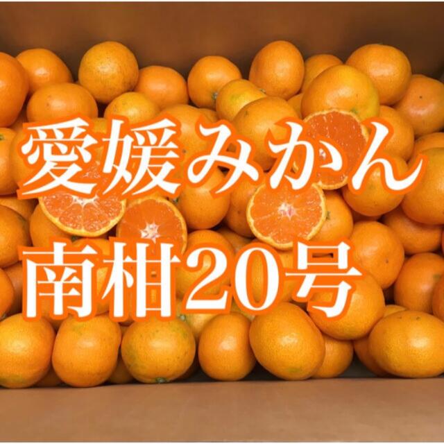 84愛媛県産 南柑20号 みかん 小玉中玉 10㎏