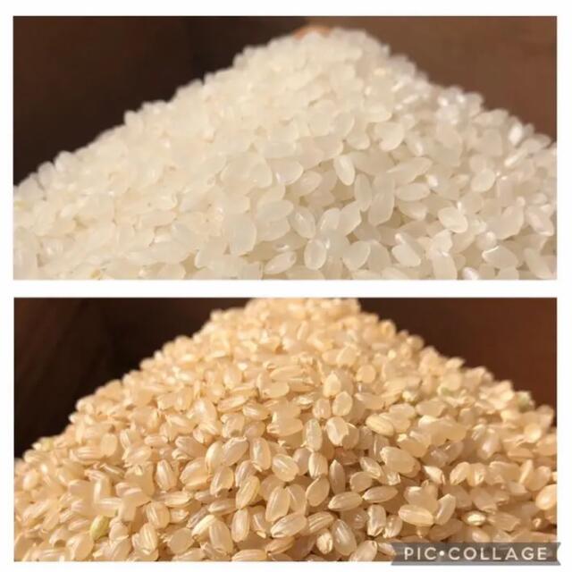 新米無農薬レンゲ草米ひのひかり、玄米10kg新米 S8atzXICp7