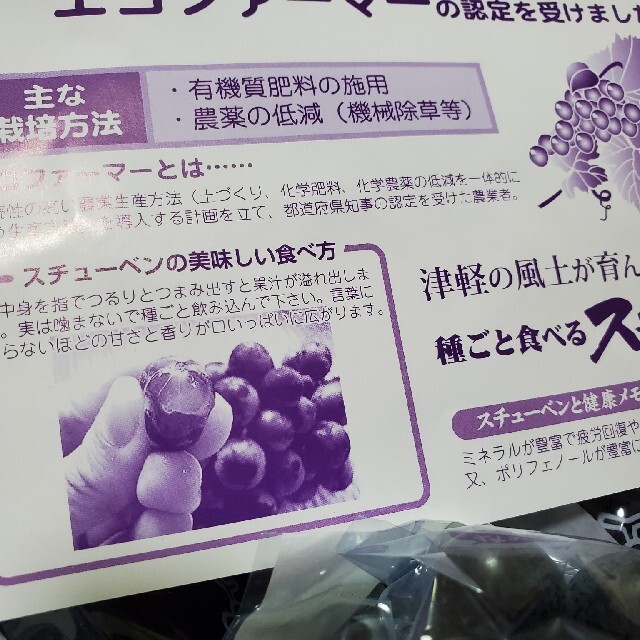 最後のブドウは、とっても甘い。噛んではダメ。飲み込んで。青森県産「スチューベン」 食品/飲料/酒の食品(フルーツ)の商品写真