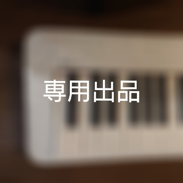 専用出品*CASIO 電子ピアノ PX-S1000 WE